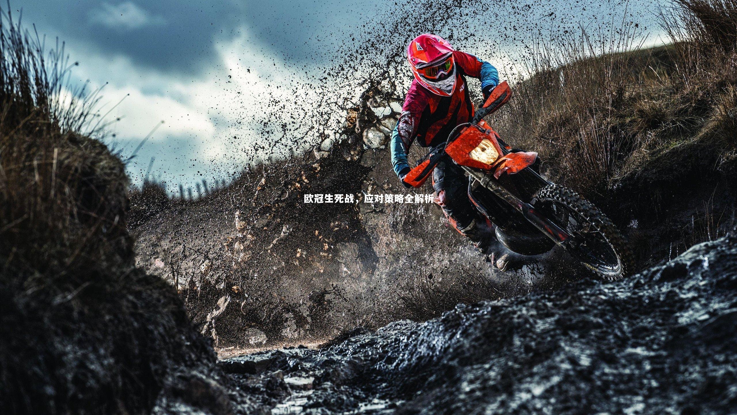 牛八体育_欧冠生死战，应对策略全解析